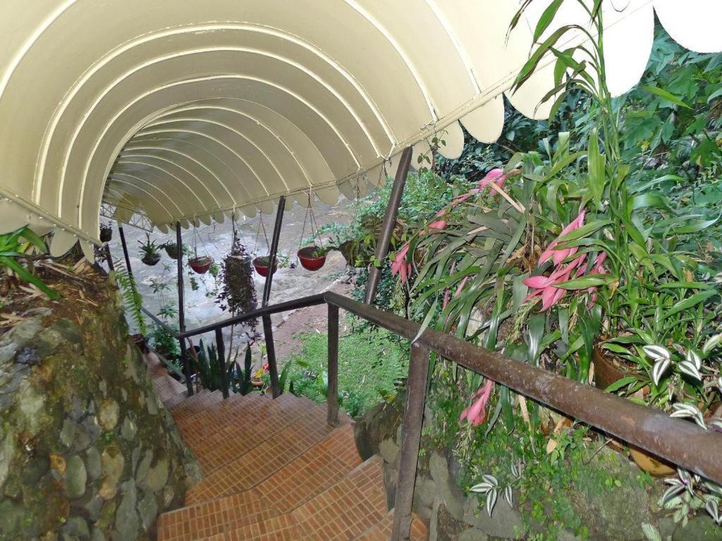 Mountain Lodge And Restaurant Багио Экстерьер фото